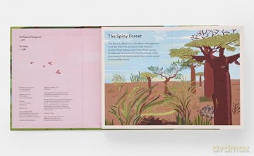 A Family of Trees: My First Book of Forests - Peggy Thomas [KSIĄŻKA]