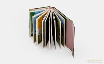 A Family of Trees: My First Book of Forests - Peggy Thomas [KSIĄŻKA]
