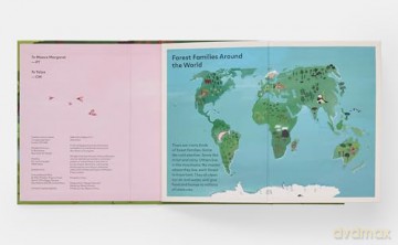A Family of Trees: My First Book of Forests - Peggy Thomas [KSIĄŻKA]