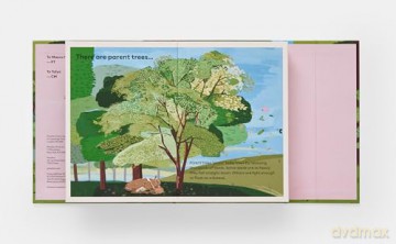 A Family of Trees: My First Book of Forests - Peggy Thomas [KSIĄŻKA]