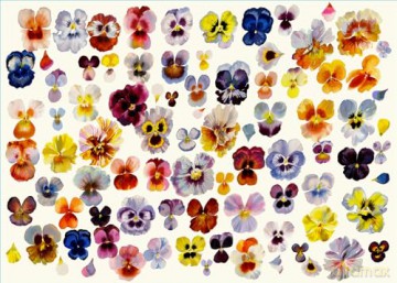 A Field of Pansies Puzzle: 1,000 Piece (Artisan Puzzle) - Dealtry [KSIĄŻKA]