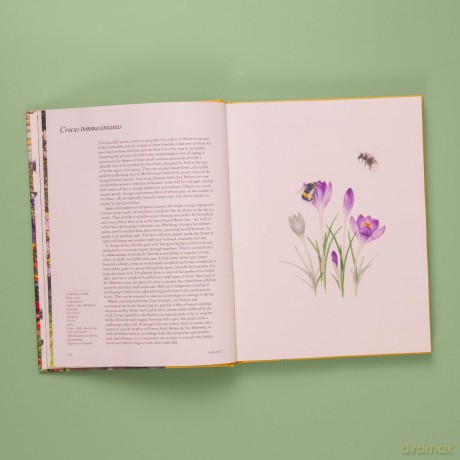 A Flower Garden for Pollinators: Learn how to sustain and support nature with this practical planting guide - Rachel de Thame [KSIĄŻKA]