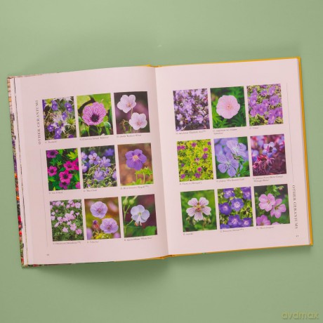 A Flower Garden for Pollinators: Learn how to sustain and support nature with this practical planting guide - Rachel de Thame [KSIĄŻKA]