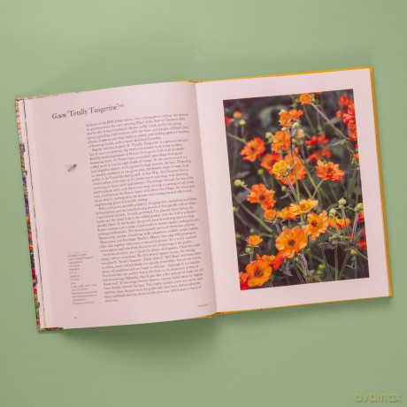 A Flower Garden for Pollinators: Learn how to sustain and support nature with this practical planting guide - Rachel de Thame [KSIĄŻKA]
