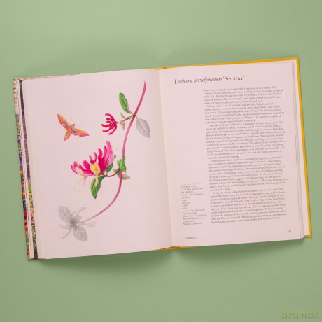 A Flower Garden for Pollinators: Learn how to sustain and support nature with this practical planting guide - Rachel de Thame [KSIĄŻKA]
