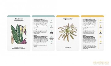 A Home Full of House Plants: A Practical Card Deck (Kew Experts) - Kay Maguire [KSIĄŻKA]