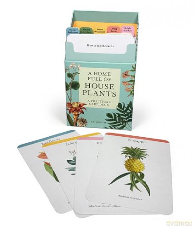 A Home Full of House Plants: A Practical Card Deck (Kew Experts) - Kay Maguire [KSIĄŻKA]