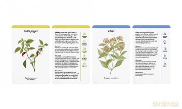 A Kitchen Full of Herbs: A Practical Card Deck (Kew Experts) - Holly Farrell [KSIĄŻKA]