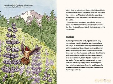 A Little Book of Hummingbirds (Little Book of Natural Wonders) - Tara Austen Weaver [KSIĄŻKA]