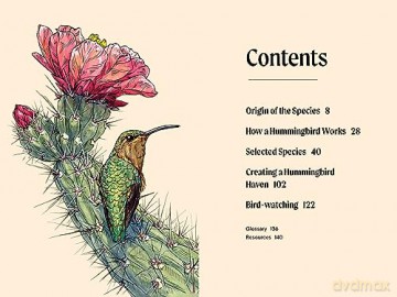 A Little Book of Hummingbirds (Little Book of Natural Wonders) - Tara Austen Weaver [KSIĄŻKA]