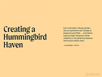 A Little Book of Hummingbirds (Little Book of Natural Wonders) - Tara Austen Weaver [KSIĄŻKA]