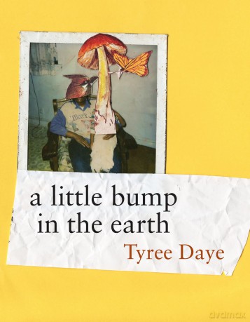 a little bump in the earth - Tyree Daye [KSIĄŻKA]
