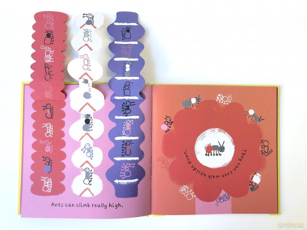 A Little World of Ants: A Lift-the-Flap Adventure - Cara Rooney [KSIĄŻKA]