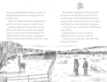 A Llama Called Lightning (The Jasmine Green Series) - Helen Peters [KSIĄŻKA]