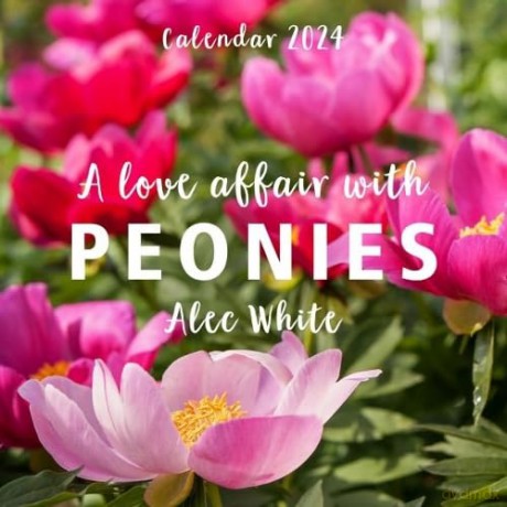 A Love Affair with Peonies Calendar 2024 - Alec White [KSIĄŻKA]