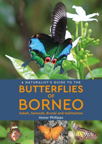 A Naturalist's Guide to the Butterflies of Borneo (Naturalists' Guides) - Honor Phillipps [KSIĄŻKA]