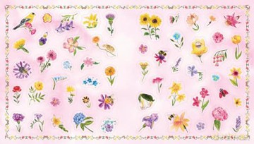A Nature Lover's Sticker Book [KSIĄŻKA]
