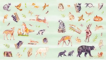 A Nature Lover's Sticker Book [KSIĄŻKA]