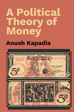 A Political Theory of Money - Anush Kapadia [KSIĄŻKA]