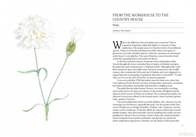 A Short History of Flowers: The stories that make our gardens - Advolly Richmond [KSIĄŻKA]