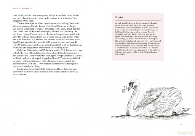 A Short History of Flowers: The stories that make our gardens - Advolly Richmond [KSIĄŻKA]