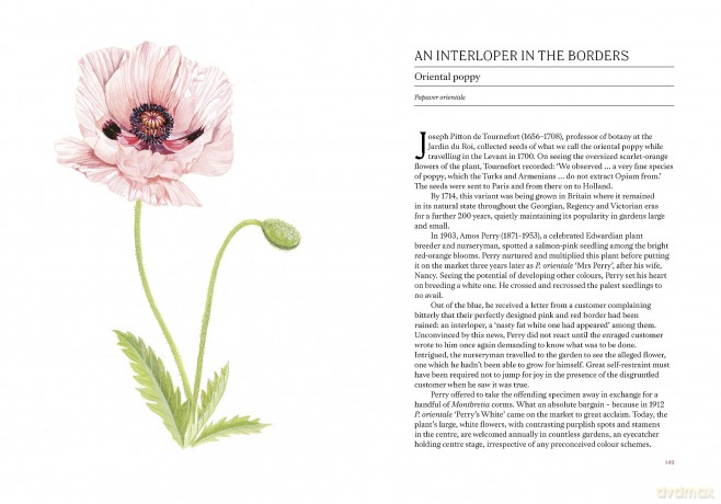 A Short History of Flowers: The stories that make our gardens - Advolly Richmond [KSIĄŻKA]