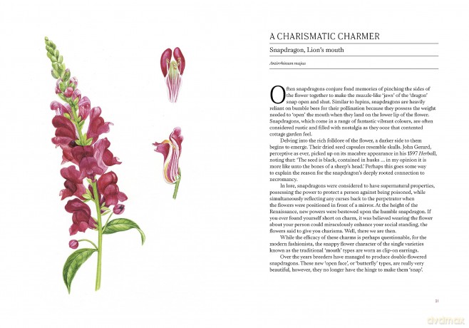 A Short History of Flowers: The stories that make our gardens - Advolly Richmond [KSIĄŻKA]