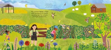 A Walk in Summer: Lift the flaps to reveal the secrets of the season - Ladybird [KSIĄŻKA]