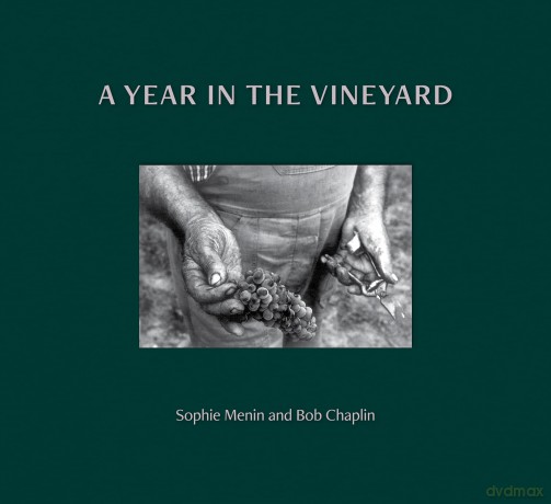 A Year in the Vineyard - Sophie Menin [KSIĄŻKA]