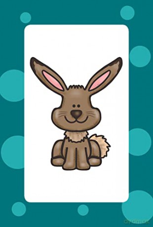 ABC Flashcards for Ages 3-5: perfect for learning the alphabet (CGP Reception Activity Books and Cards) - CGP Books [KSIĄŻKA]
