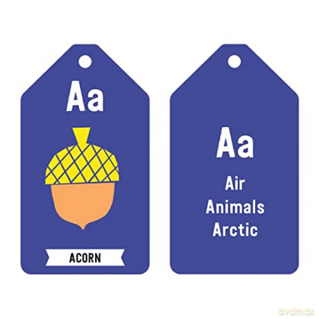 ABC of the Earth Ring Flash Cards - Mudpuppy [KSIĄŻKA]