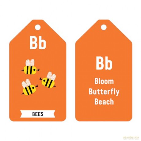 ABC of the Earth Ring Flash Cards - Mudpuppy [KSIĄŻKA]