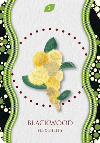 Aboriginal Healing Oracle (Rockpool Oracles) - Mel Brown [KSIĄŻKA]