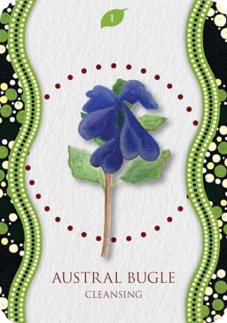 Aboriginal Healing Oracle (Rockpool Oracles) - Mel Brown [KSIĄŻKA]