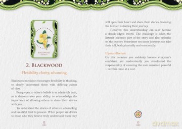 Aboriginal Healing Oracle (Rockpool Oracles) - Mel Brown [KSIĄŻKA]