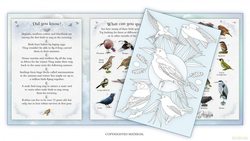 Activity Pack: Garden Birds: Part of the Activity Pack Nature Series for Children Aged 3 to 8 Years: 0 - Caz Buckingham [KSIĄŻKA]