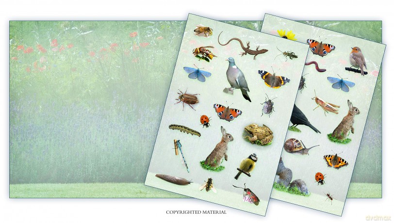 Activity Pack: Garden Wildlife: Part of the Activity Pack Nature Series for Children Aged 3 to 8 Years: 0 - Caz Buckingham [KSIĄŻKA]