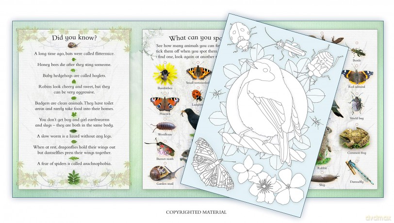 Activity Pack: Garden Wildlife: Part of the Activity Pack Nature Series for Children Aged 3 to 8 Years: 0 - Caz Buckingham [KSIĄŻKA]