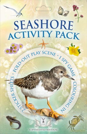 Activity Pack: Seashore: Part of the Activity Pack Nature Series for Children Aged 3 to 8 Years: 0 - Caz Buckingham [KSIĄŻKA]