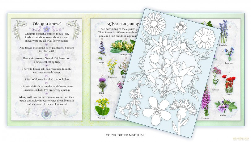 Activity Pack: Wild Flower: Part of the Activity Pack Nature Series for Children Aged 3 to 8 Years: 0 - Caz Buckingham [KSIĄŻKA]