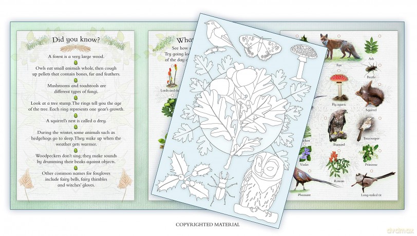 Activity Pack: Woodland Wildlife: Part of the Activity Pack Nature Series for Children Aged 3 to 8 Years: 0 - Andrea Pinnington [KSIĄŻKA]