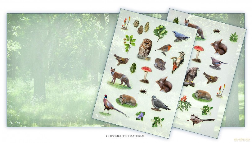 Activity Pack: Woodland Wildlife: Part of the Activity Pack Nature Series for Children Aged 3 to 8 Years: 0 - Andrea Pinnington [KSIĄŻKA]