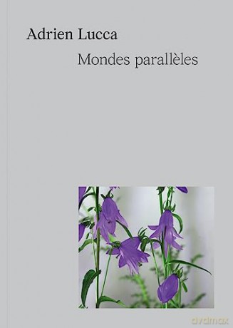 Adrien Lucca. Parallel universes: Collection l'Impatient - Edited by Exhibitions International [KSIĄŻKA]