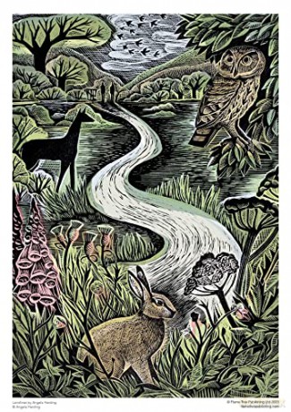 Adult Sustainable Jigsaw Puzzle Angela Harding: Landlines: 1000-Pieces. Ethical, Sustainable, Earth-Friendly - Flame Tree Studio [PUZZLE]
