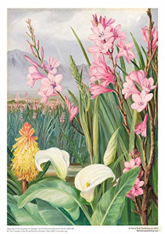 Adult Sustainable Jigsaw Puzzle Kew Gardens: Marianne North: Beauties of the Swamps at Tulbagh: 1000-Pieces. Ethical, Sustainable, Earth-Friendly - Flame Tree Studio [PUZZLE]