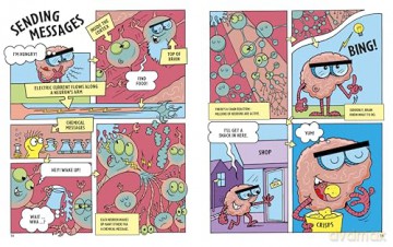 Adventures of the Brain: What the brain does and how it works - Professor Sanjay Manohar [KSIĄŻKA]