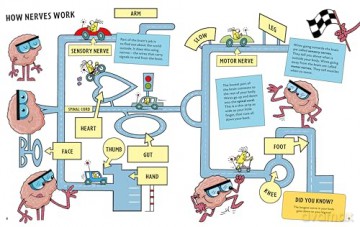 Adventures of the Brain: What the brain does and how it works - Professor Sanjay Manohar [KSIĄŻKA]