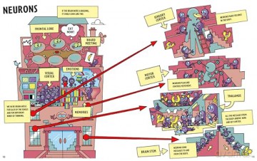 Adventures of the Brain: What the brain does and how it works - Professor Sanjay Manohar [KSIĄŻKA]