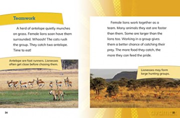 African Lionesses: Hunters of the Pride (Queens of the Animal World) - Jaclyn Jaycox [KSIĄŻKA]