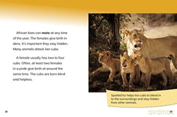 African Lionesses: Hunters of the Pride (Queens of the Animal World) - Jaclyn Jaycox [KSIĄŻKA]